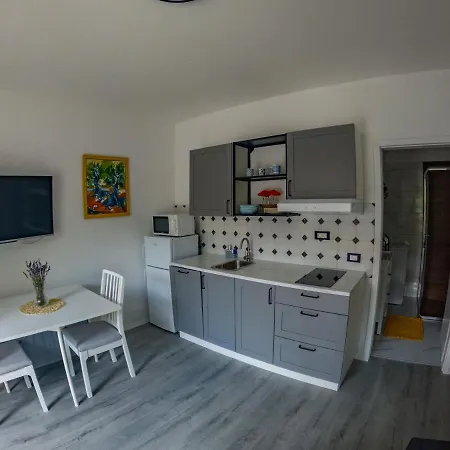 Deluxe Apartment And Studio 